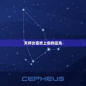 天秤女喜欢上你的征兆，天秤女喜欢的男生类型