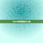 2023年摩羯座三大劫，2023年摩羯座全年运势