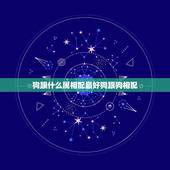 狗跟什么属相配最好狗跟狗相配，属相狗和什么属相好