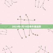 2023年1月10日金牛座运势，12星座2023 年1月5日运势