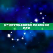 男方属虎女方属牛能结婚吗 女虎男牛是结婚的大忌