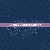 儿子属狗与父母属相相不和怎么办，属羊的父母和属狗儿子相克吗怎样化解