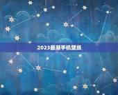 2023最潮手机壁纸，找一张好看的潮的手机壁纸