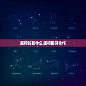 属狗的和什么属相最好合作，属狗的人与什么属相合作好
