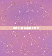 属虎人今日麻将财运2023 属虎人打麻将吉日表