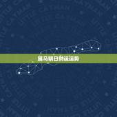 属马明日财运运势，属猴明日运势财运