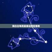 陶白白每周星座运势在哪看 2023年十二星座运势