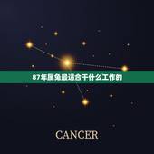 87年属兔最适合干什么工作的，属兔三大坎是什么意思