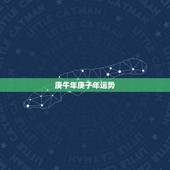 庚午年庚子年运势，庚午年2023年的运势