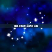摩羯座2023年财富运势，摩羯女2023全年事业运