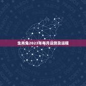 生肖兔2023年每月运势及运程