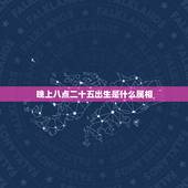 晚上八点二十五出生是什么属相，晚上八点十五分属什么生肖