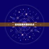 鼠跟鼠生肖做夫妻好吗(介绍同属一类相互理解)