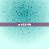 名字匹配打分，苏轶可名字的意思、打分能打多少分，取这名字好不好