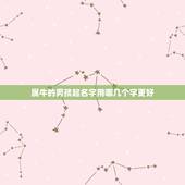 属牛的男孩起名字用哪几个字更好，属牛的男孩名字带什么字含义好