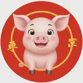 属猪的今年多大岁数了1947年：1947年的猪寿终是哪年