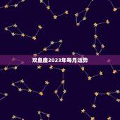 双鱼座2023年每月运势，2023 年运势