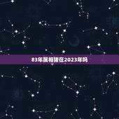 83年属相猪在2023年吗，属猪2023有丧事吗