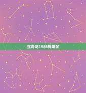 生肖龙1988男婚配，男1988属龙跟啥属相配