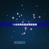 12生肖鸡的最佳婚配属相，属鸡和什么属相最好