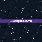 2023年属相猪适合生子吗，2024年龙年不宜生子的属相