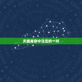 天蝎座命中注定的一对，天蝎女命中注定的星座