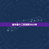 金牛座十二月运势2023年，2023年金牛座太惨了