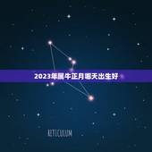 2023年属牛正月哪天出生好，2023年属牛出生的最佳时辰？