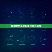 属狗女的最好配偶是什么属相，属狗的女性和什么属相的男性最般配