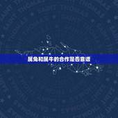 属兔和属牛的合作是否靠谱(讨论属相对合作关系的影响)