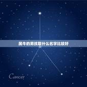 属牛的男孩取什么名字比较好，属牛的男孩起什么名好