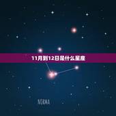 11月到12日是什么星座，12月24日星座