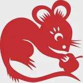 2025属鼠运势全攻略：财运与健康的避坑指南