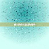 看今天的财运运气好吗，今天属狗的财运和运气如何
