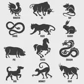 十二生肖为何少一个？揭秘千年名单隐藏的真相