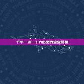 下午一点一十六出生的宝宝属相，农历2011年1月12日下午16点16分