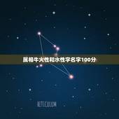 属相牛火性和水性字名字100分，2023属牛男孩最吉利的名字