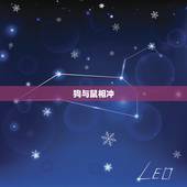 狗与什么生肖相冲相克(十二生肖相克大介绍)