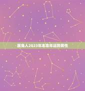 属兔人2023年本命年运势男性，属兔人2023年本命年运势男性怎么样