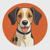 属狗的是哪一年出生的 (更多)，属狗性格特点