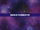 狗和羊合不合婚配好不好，狗和羊合不合