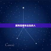 属狗是哪年出生的人，属狗的人是哪年出生的？