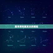 属羊男和属龙女的婚配，88年的龙女和91年的羊男 婚配好吗？运势如何？