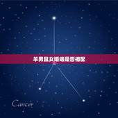 羊男鼠女婚姻是否相配，91男羊96女鼠腊月结婚吉日