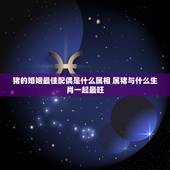 猪的婚姻最佳配偶是什么属相 属猪与什么生肖一起最旺