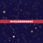男牛和女兔属相配婚姻如何，属牛和属兔的婚姻如何