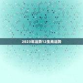 2023年运势12生肖运势，2023运程十二生肖运程每月运势