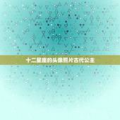 十二星座的头像照片古代公主，十二星座公主图片