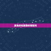 属兔的和属猴的婚配吗，属猴和属兔相配吗