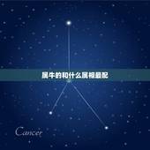 属牛的和什么属相最配，属牛和什么属相相配